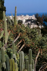 Monaco jardin exotique rocher cactus vue